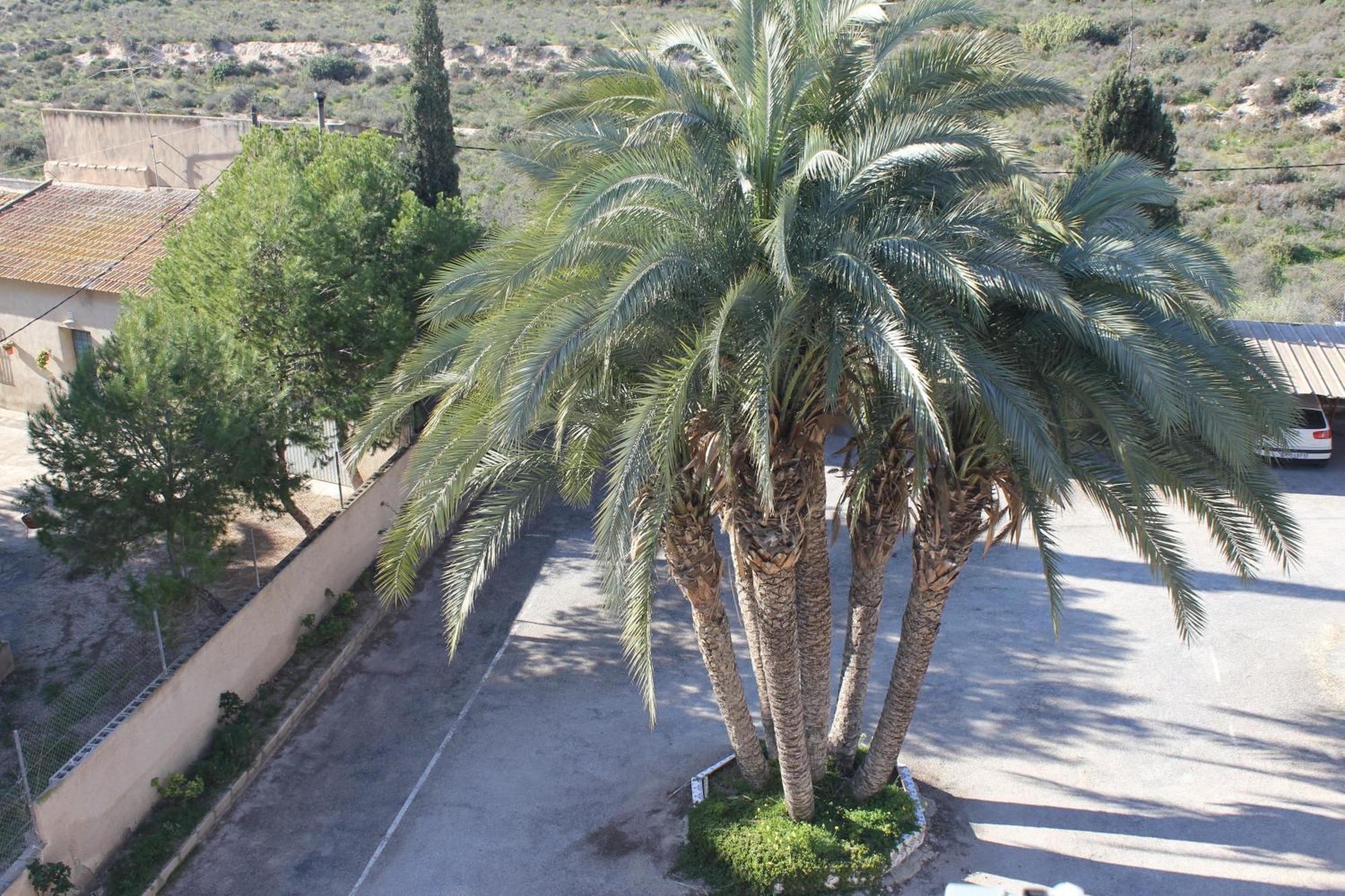 Apartamentos Congo El Campello Extérieur photo