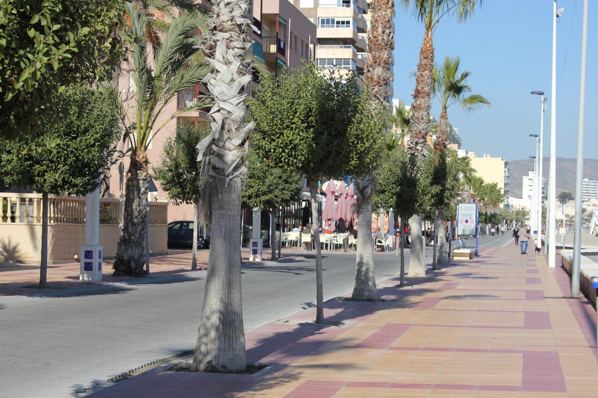 Apartamentos Congo El Campello Extérieur photo